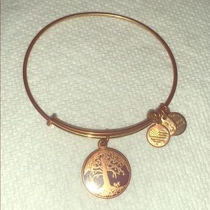 Alex and Ani Tree of Life Bracelet